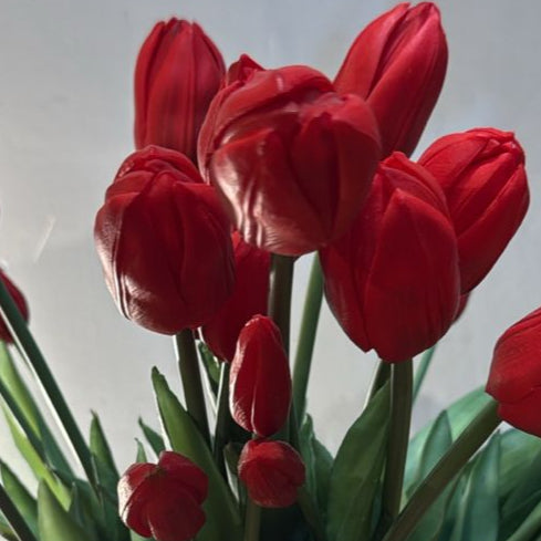 Buquê tulipa toque real vermelho