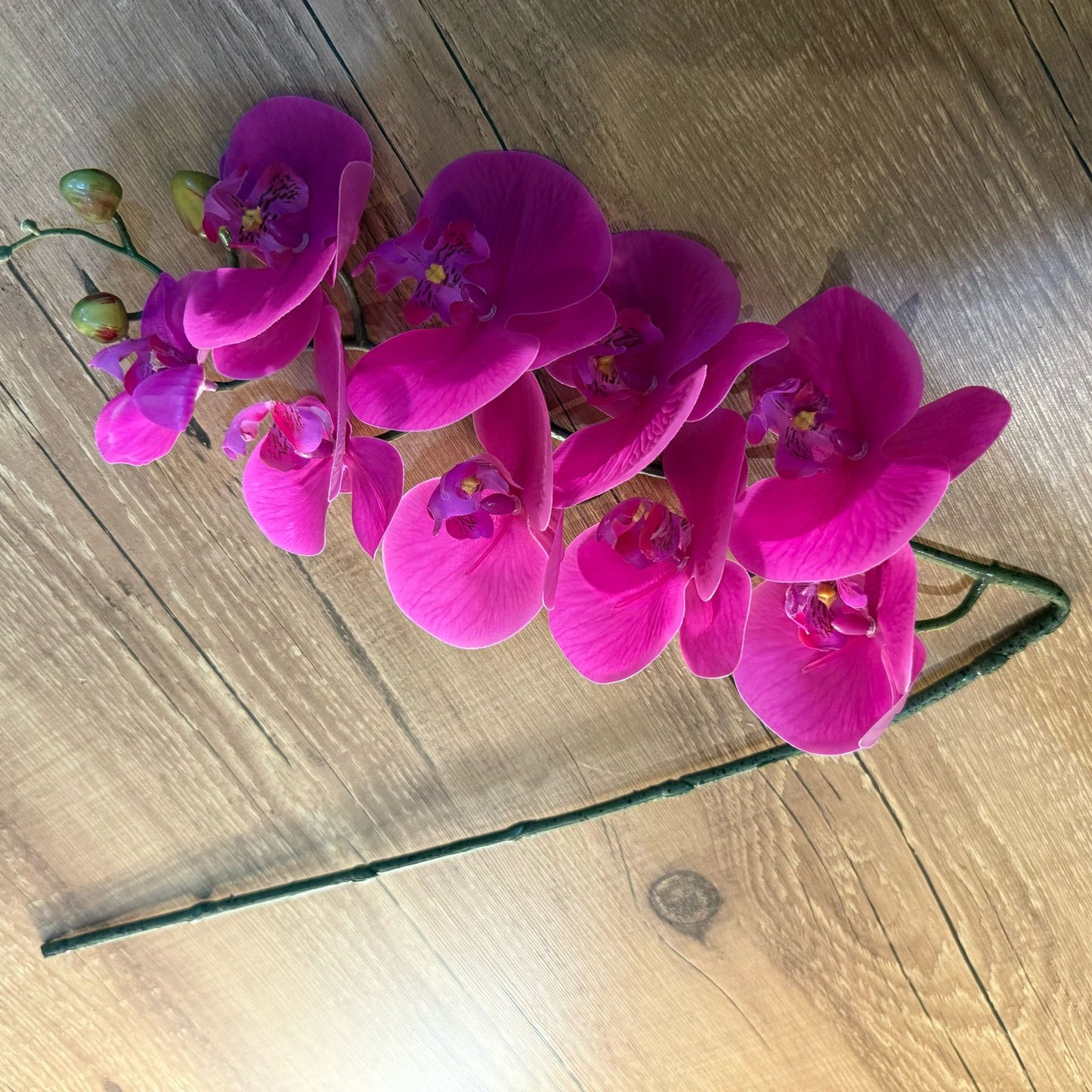 Haste de orquídea rosa toque real