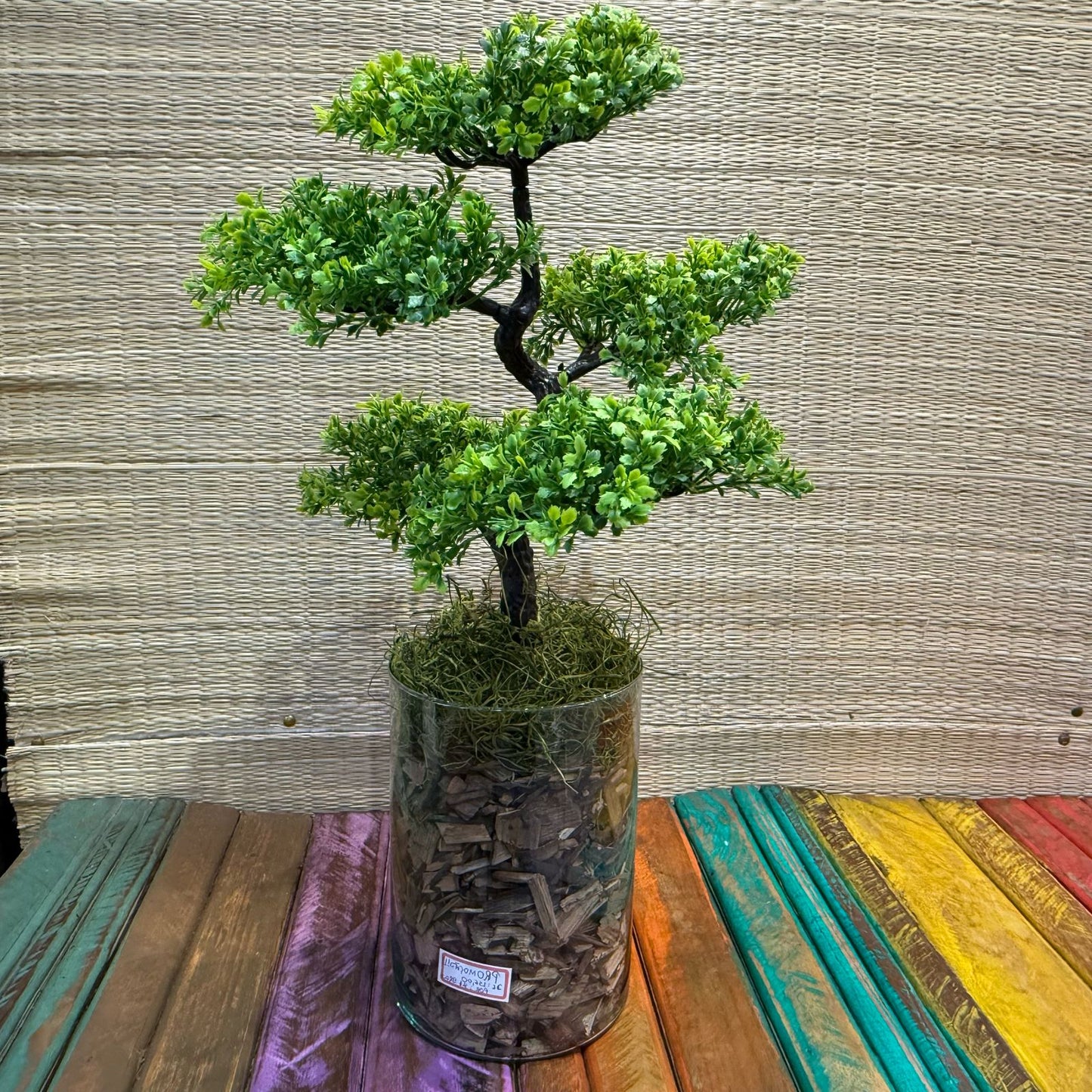 Arranjo de Bonsai + vaso de vidro transparente
