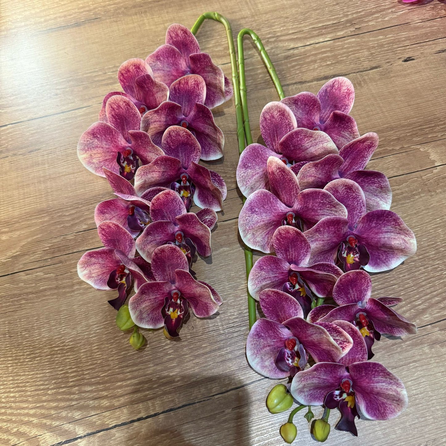 Haste de orquídea premium rosa