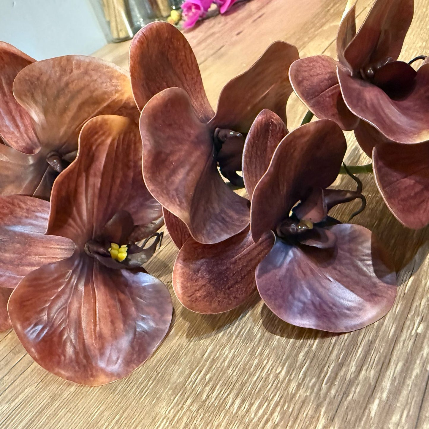 Haste de orquídea Premium marrom