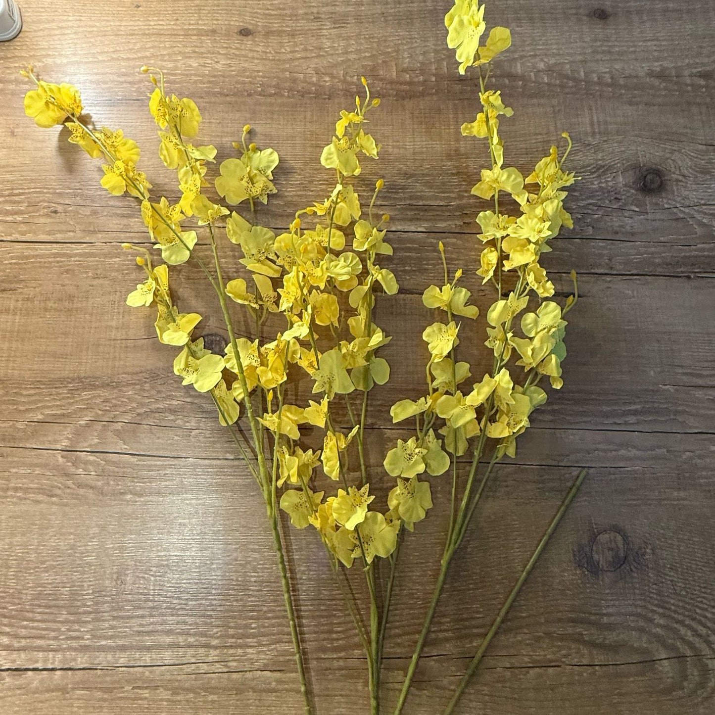 Haste chuva de ouro amarela