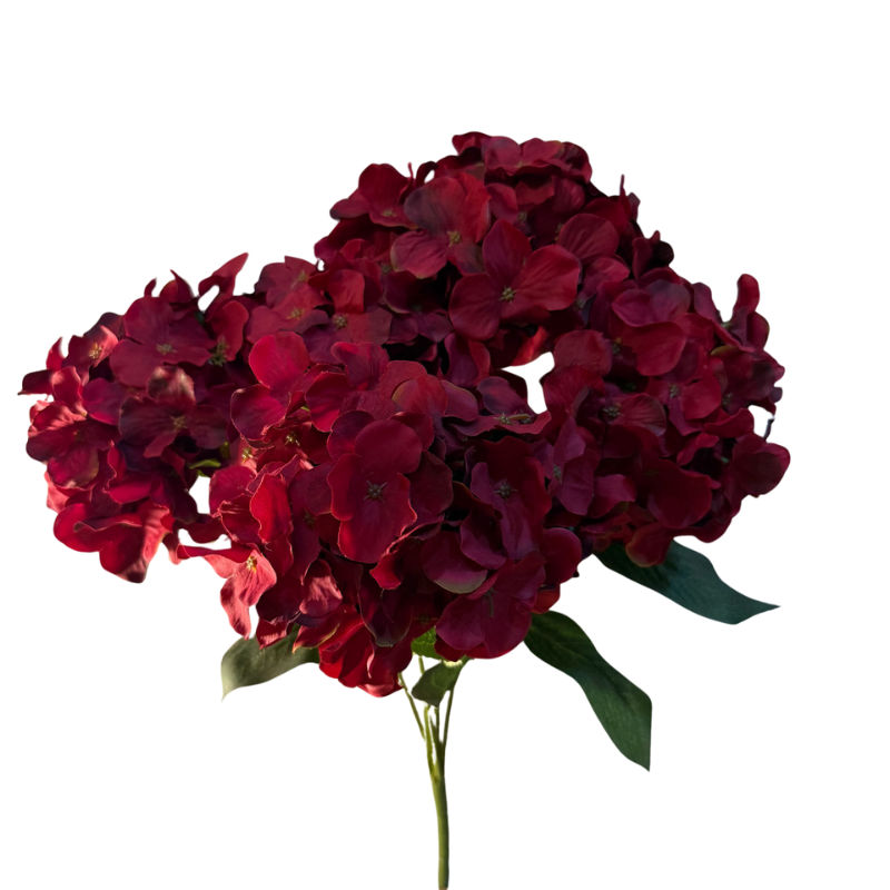 Buquê de hortênsia com 5 galhos