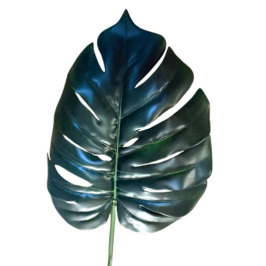 Haste Costela-de-adão toque real cor verde escuro