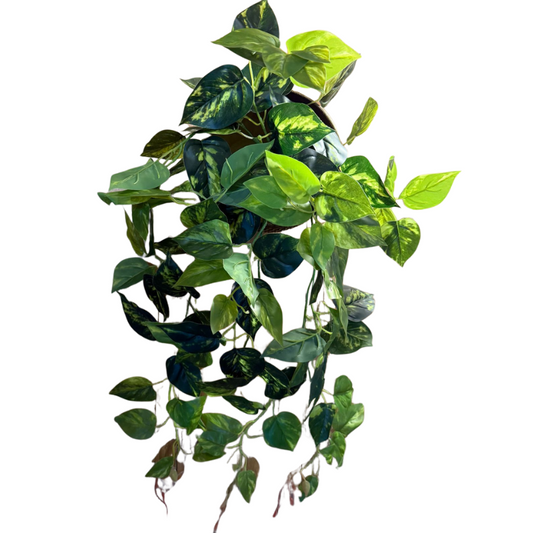 Pendente de jiboia toque real