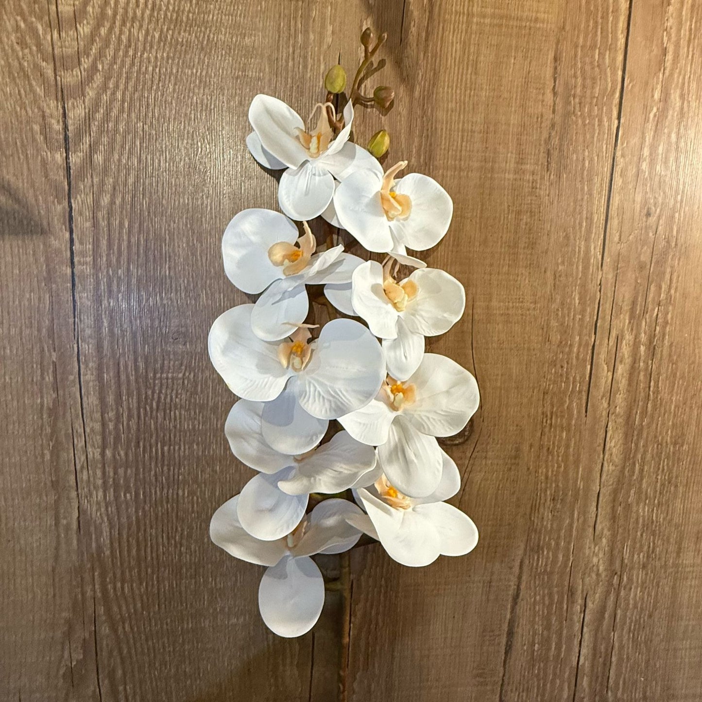 Haste de orquídea toque real siliconada