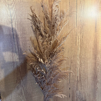 Haste de capim dos pampas