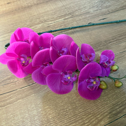 Haste de orquídea rosa toque real