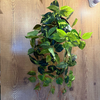 Pendente de jiboia toque real