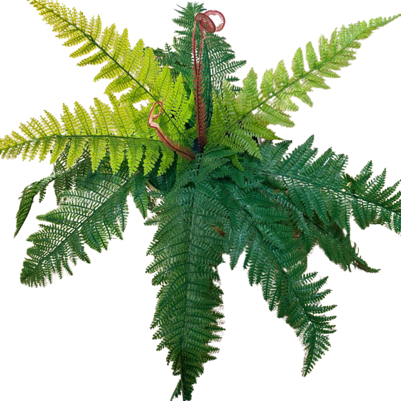 Samambaia em toque real