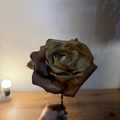 Haste de rosa outonada Gigante