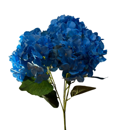 Buquê de hortênsia com 5 galhos