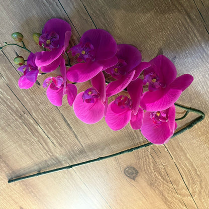 Haste de orquídea rosa toque real