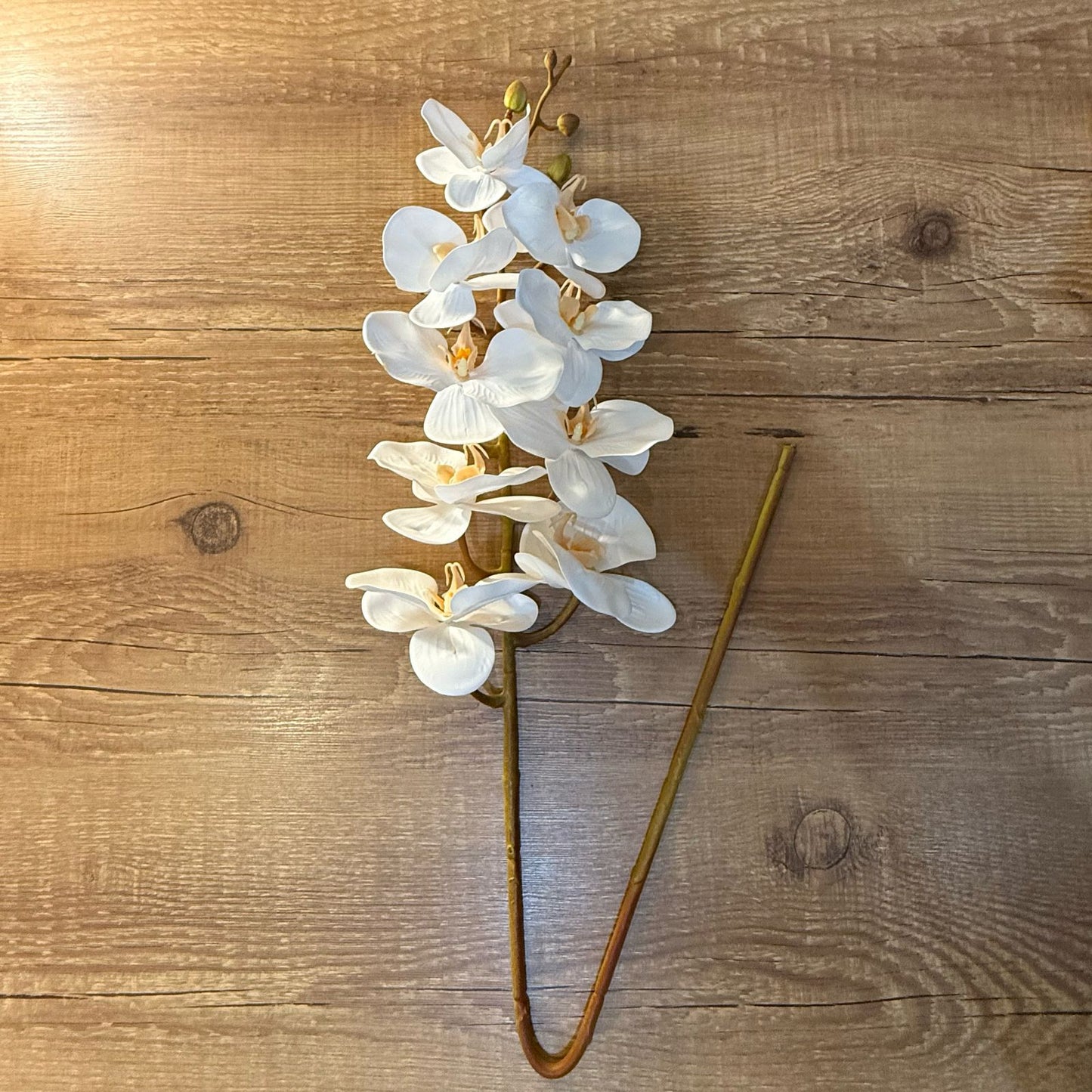 Haste de orquídea toque real siliconada