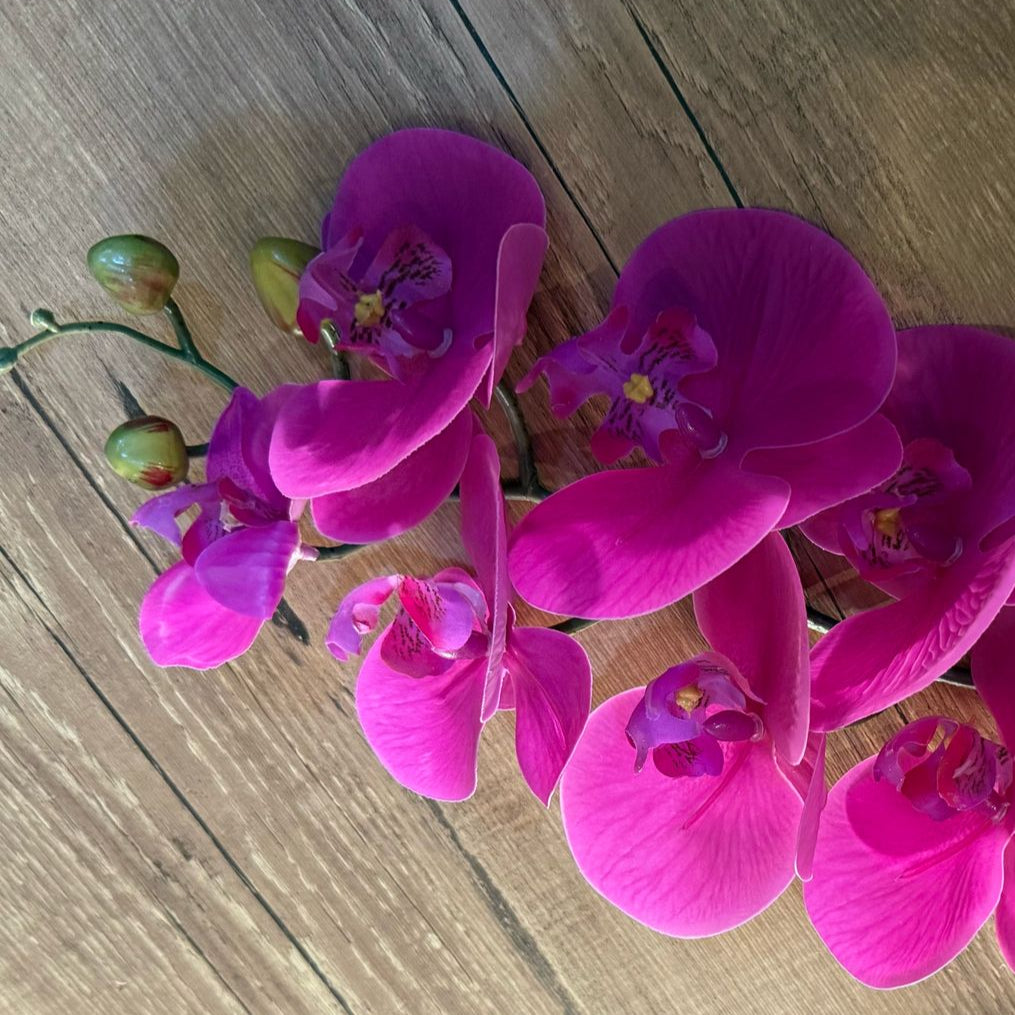 Haste de orquídea rosa toque real