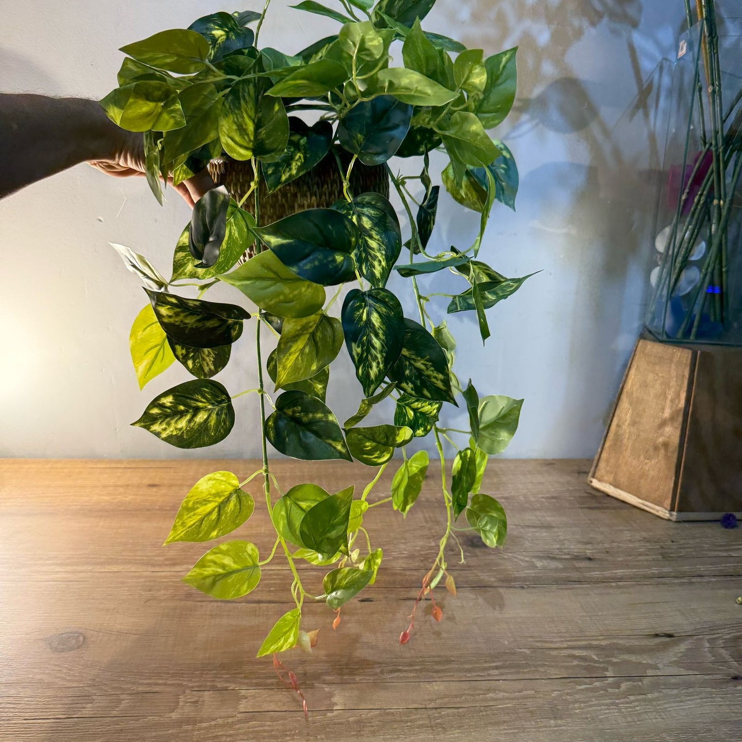 Pendente de jiboia toque real