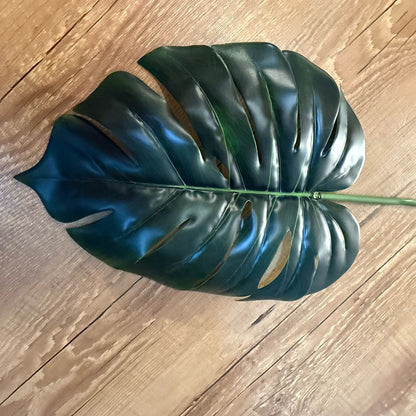 Haste Costela-de-adão toque real cor verde escuro