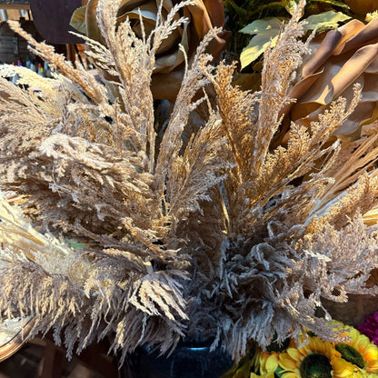 Haste de capim dos pampas