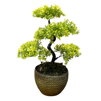 Arranjo de Bonsai em vaso de poliuretano