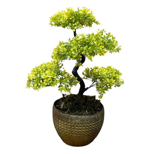 Arranjo de Bonsai em vaso de poliuretano