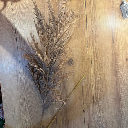 Haste de capim dos pampas