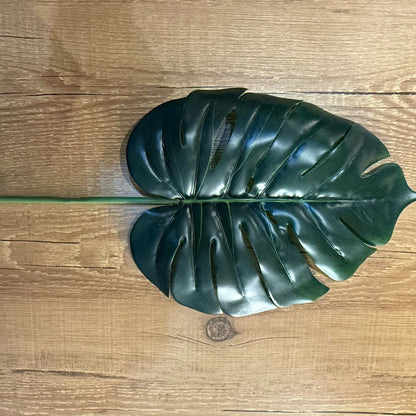 Haste Costela-de-adão toque real cor verde escuro