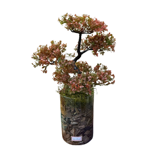 Arranjo de Bonsai em vaso de vidro transparente