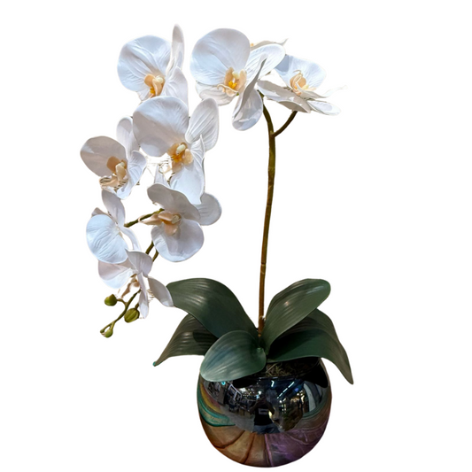 Arranjo de orquídea Toque real + vaso de vidro espelhado