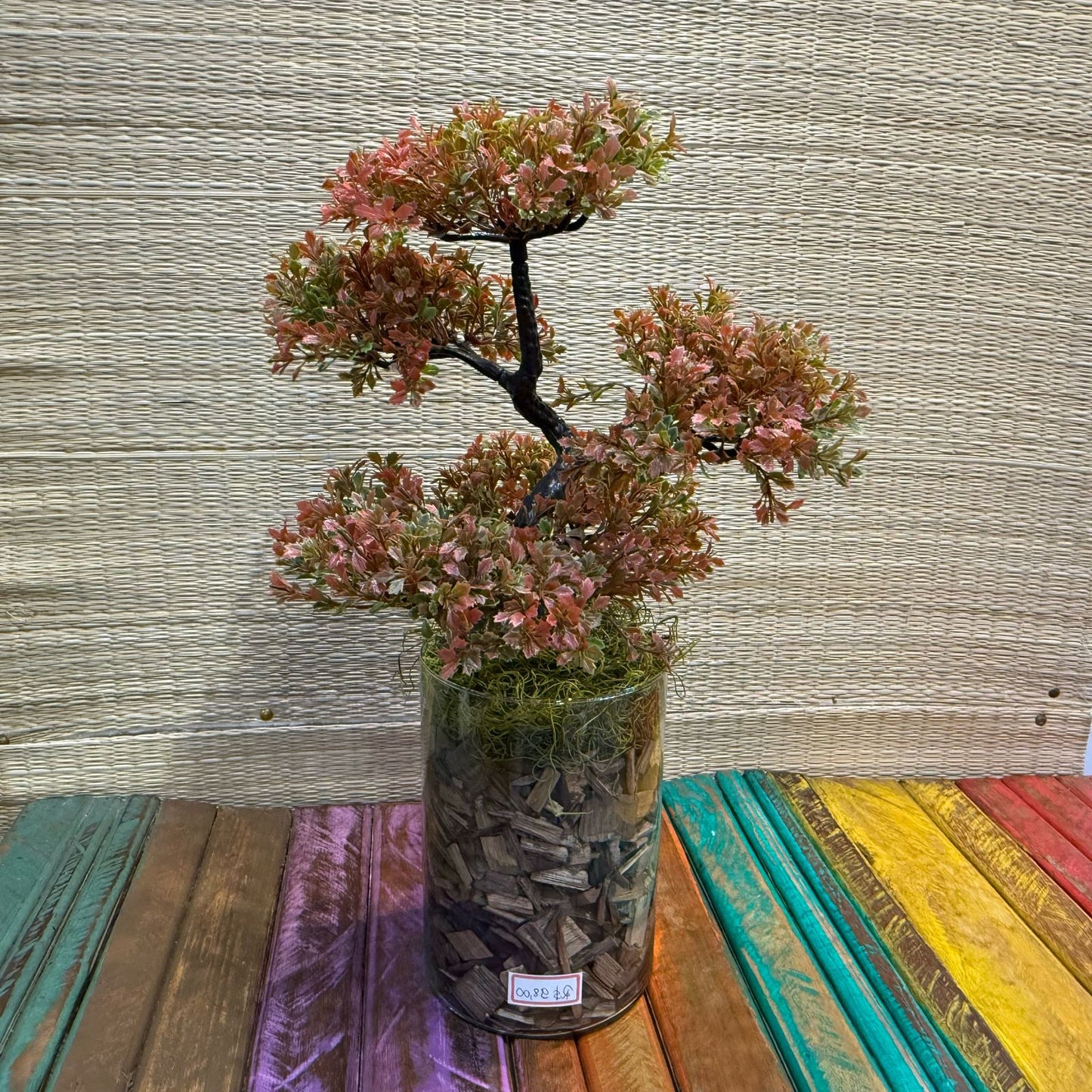 Arranjo de Bonsai em vaso de vidro transparente