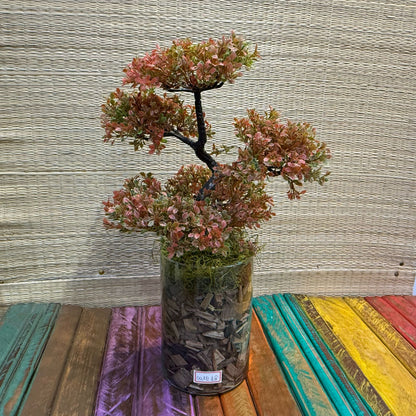 Arranjo de Bonsai em vaso de vidro transparente