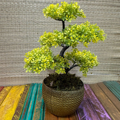 Arranjo de Bonsai em vaso de poliuretano