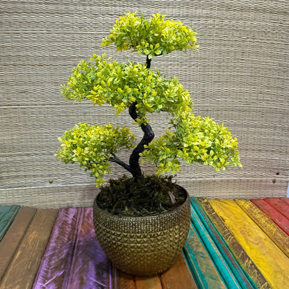 Arranjo de Bonsai em vaso de poliuretano
