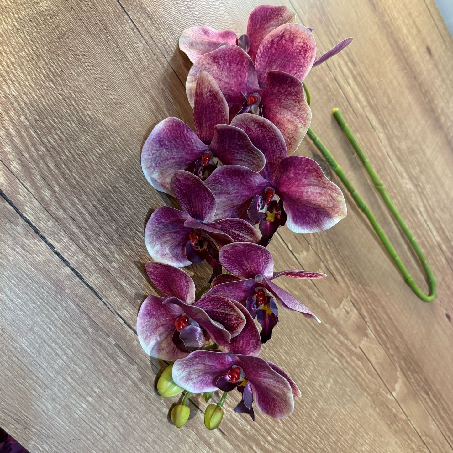 Haste de orquídea premium rosa