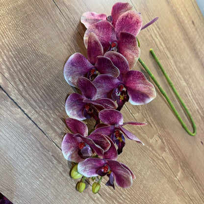 Haste de orquídea premium rosa