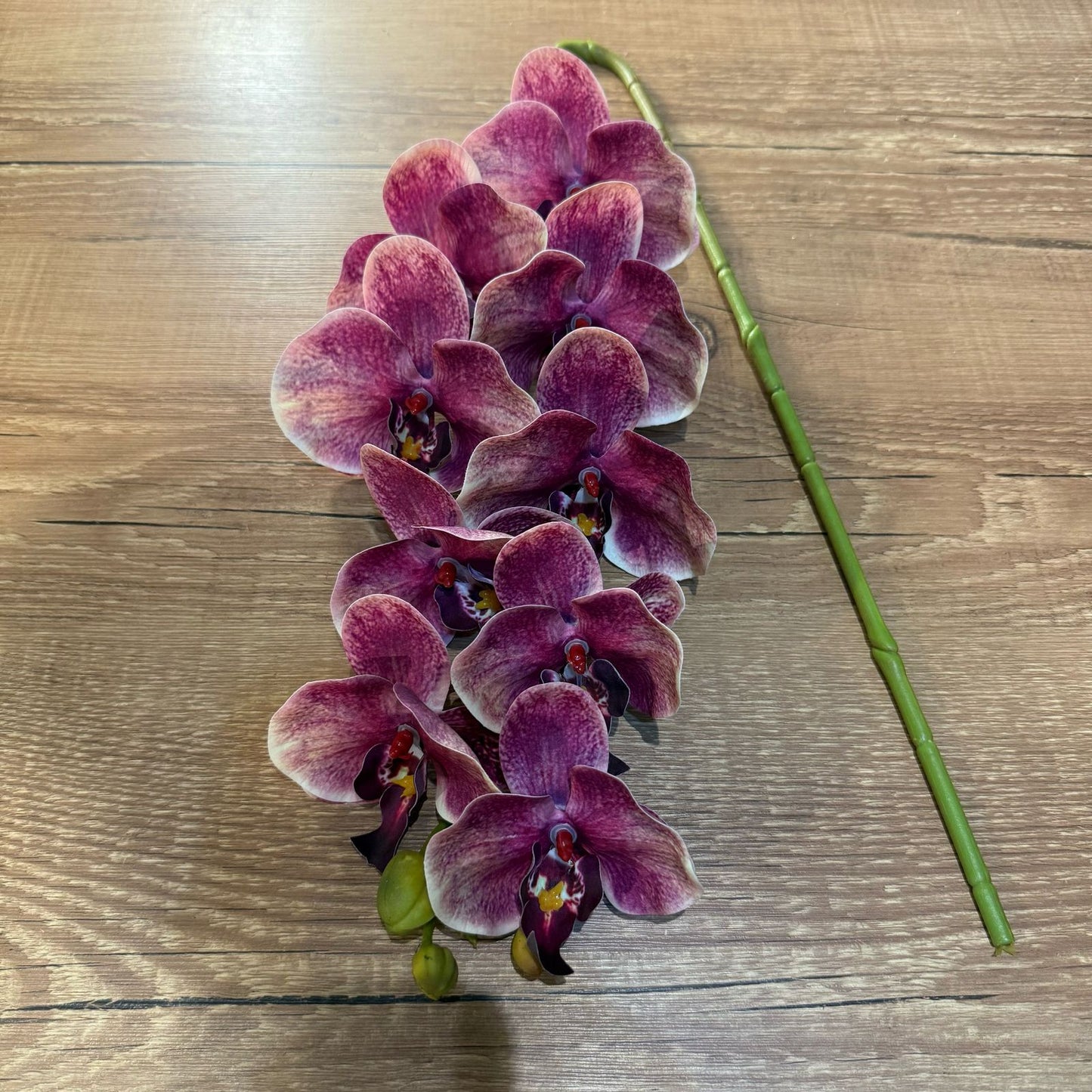 Haste de orquídea premium rosa